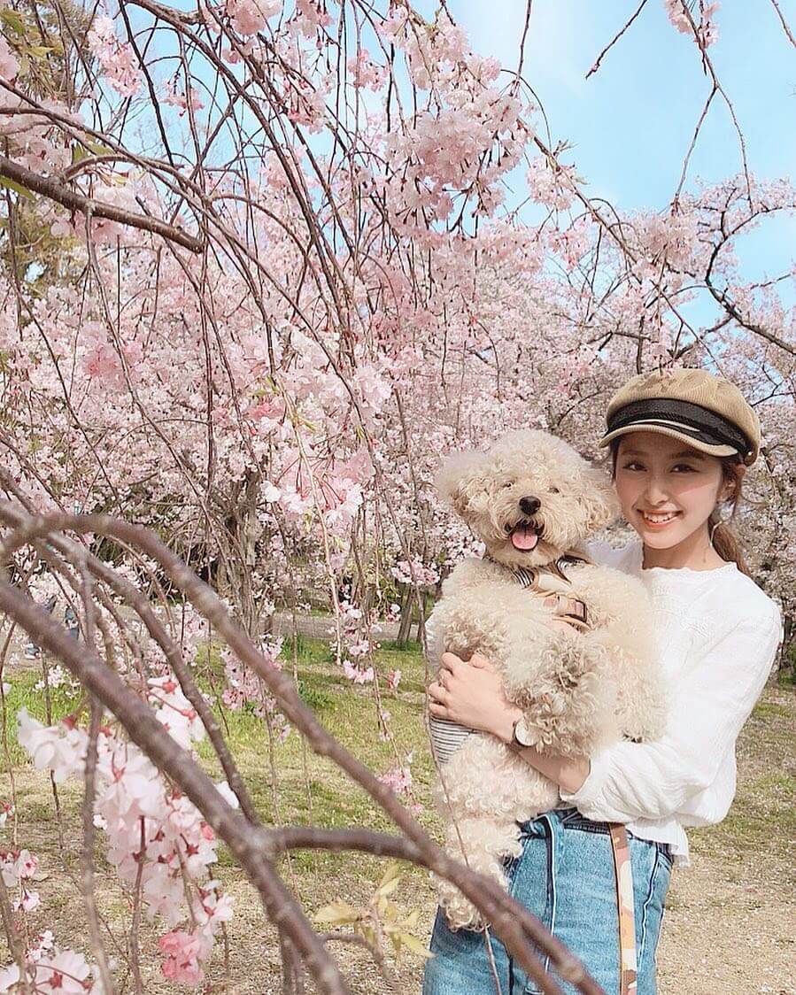 和泉市「黒鳥山公園」は無料でBBQやお花見も楽しめる癒しの公園