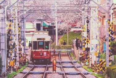 北区「飛鳥山公園」はママと子供に優しい江戸時代から続く桜の名所