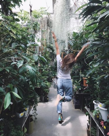 練馬区「オザキフラワーパーク」ガーデニング愛好家のオシャレスポット