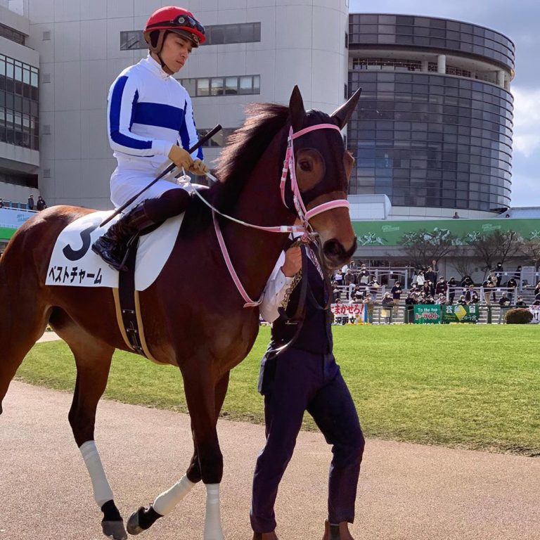 京都競馬場はアスレチックや飲食店充実の子供も楽しい観光スポット みんなのじもと