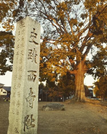 今は無き西寺跡にある唐橋西寺公園は国の史跡にも認定された立派な公園