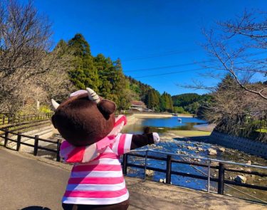 移住定住促進中「宮崎県小林市」地元民が小林市の魅力をご紹介