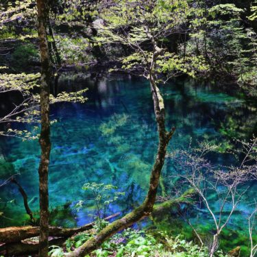 世界自然遺産「白神山地大崩展望所」から青池で有名な十二湖を一望