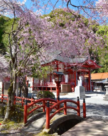 山口県「大寧寺」は大内義隆最期の地であり桜と紅葉の鑑賞に最適