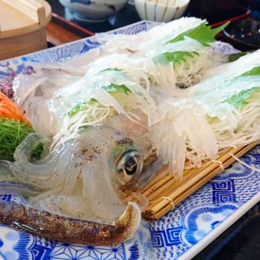呼子「いか本家」鮮度抜群の透明な活イカや天ぷらなら絶対ココ