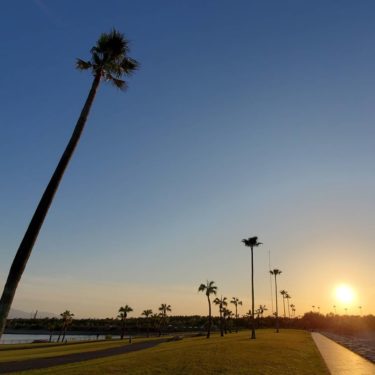 みやざき臨海公園はバーベキューや海水浴 釣りも楽しめる大型公園 みんなのじもと