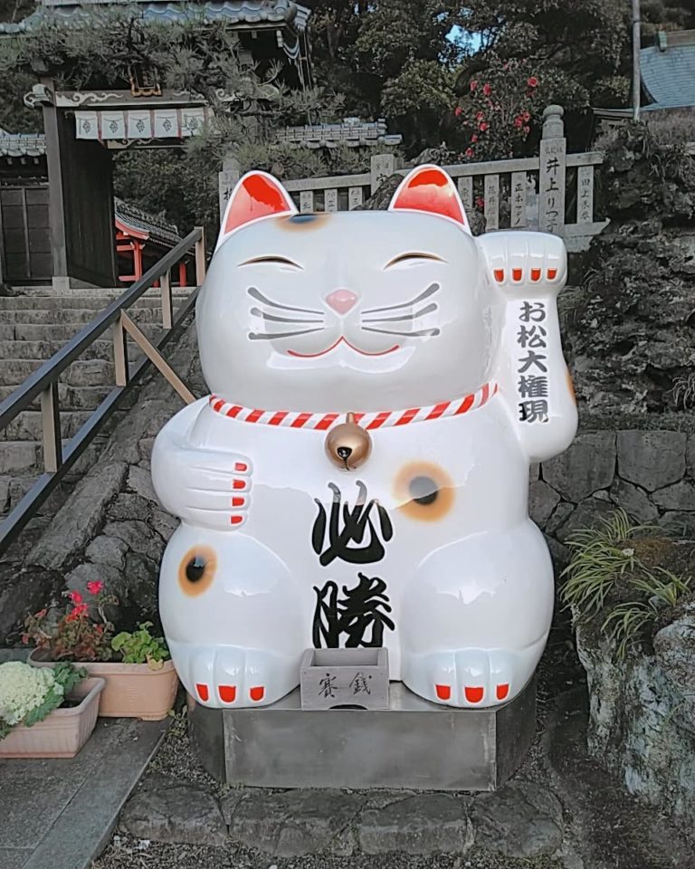 勝負事にご利益 お松大権現 高さ2mの猫神さまがお出迎えする神社 みんなのじもと