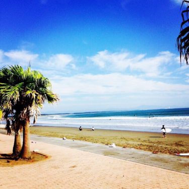 宮崎市「青島こどものくに」では美しい花とアウトドアが楽しめる