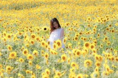 スポーツ選手いっぱい「宮崎県都城市」の観光スポットを地元民が紹介