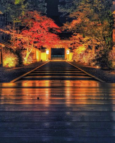 和歌山県民が「高野山真言宗総本山金剛峯寺」をやさしく紹介してみます