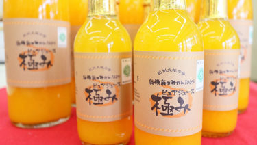 有田川町観光所で飲んだオレンジジュース「極み」が美味しすぎる