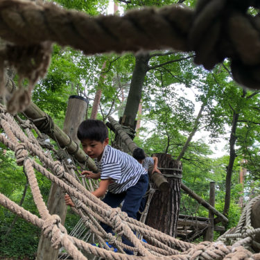 鳥取県「森の国」はアスレチックにキャンプもできる子供の楽園