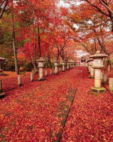 兵庫県を代表する紅葉スポット「高山寺」は文化財も豊富な観光スポット
