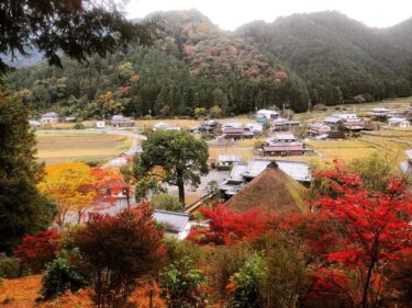 達身寺は神秘的な仏像とともに秋の紅葉と春の水仙を楽しめるスポット